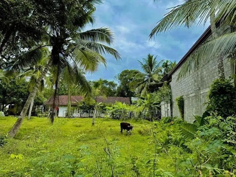 නවගමුව දේවාලයට ආසන්නයෙන් බිම් කොටස් 2ක් / KK 12109
