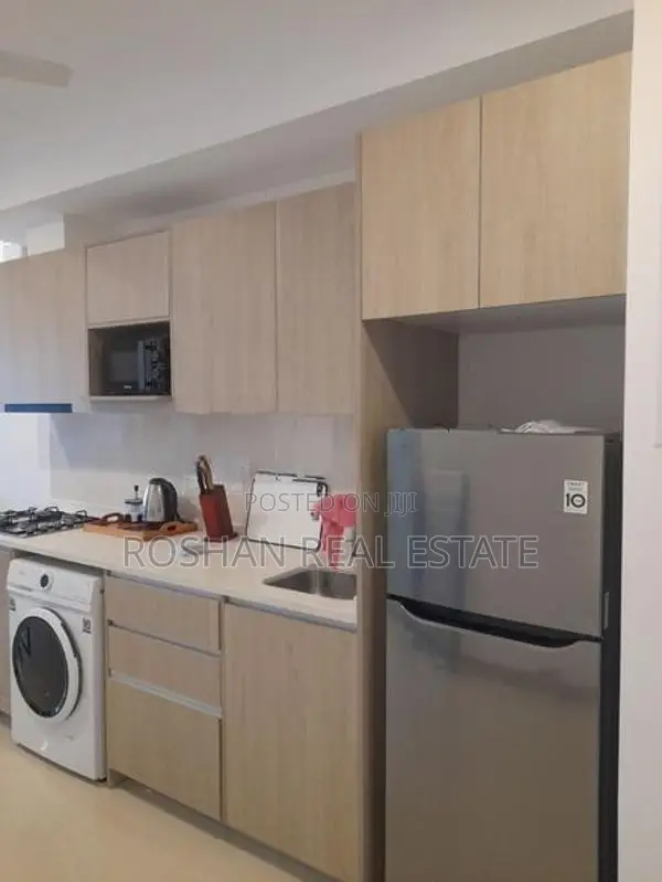 LUXURY FULLY FURNISHED APARTMENT FOR RENT COLOMBO 2 SA2801
