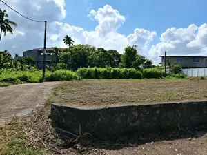 Valuable Land for Sale in Pepiliyana