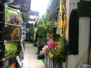 Shop For Rent in Bangshal Street Pettah Colombo.11