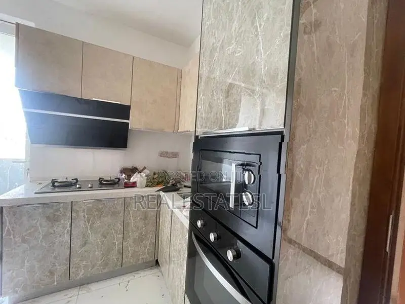 Luxury Furnished 3 bed 1700 Sqft Spacious Apartment for rent at Col-5