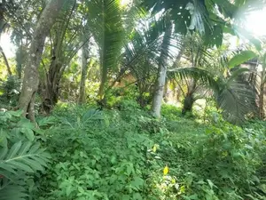 Land for sale Habarakada Malabe