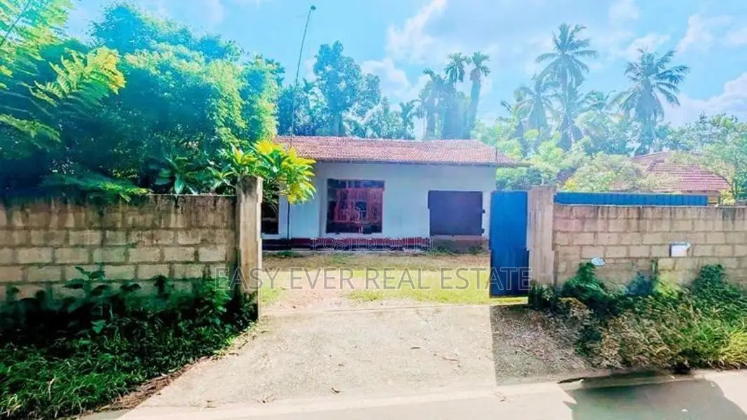 🌾 වෙල් යායකට මායිම්ව 🛣️ කාපට් පාරටම මුහුණලා නිවසක් / KK 14653