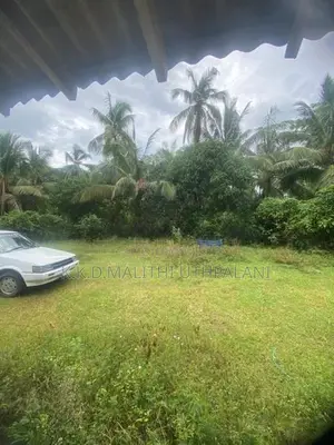 Land For Sale Walgama Mathara