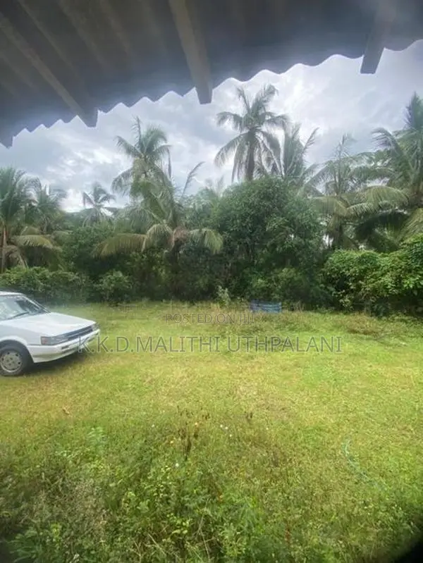 Land For Sale Walgama Mathara