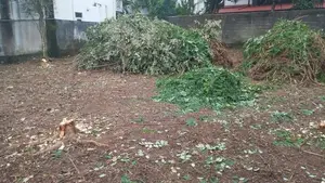 Land for sale in piliyandala.