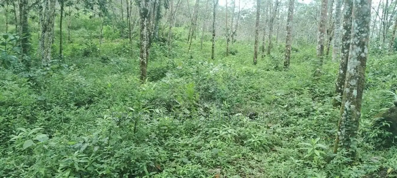 Land for sale at Dodangoda