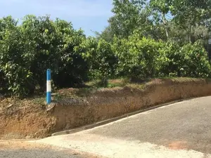 කලුතර නගරයට ආසන්න ඉඩමක්