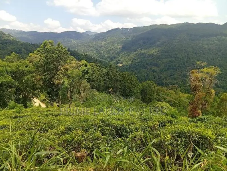 Beautiful Land in Nilamba