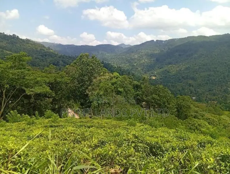 Beautiful Land in Nilamba