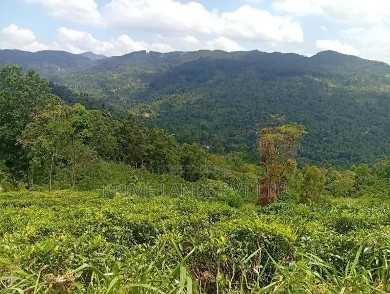 Beautiful Land in Nilamba