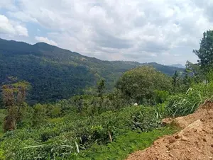 Beautiful Land in Nilamba
