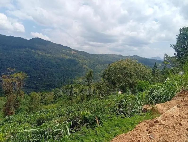 Beautiful Land in Nilamba