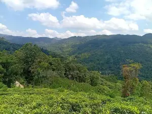 Beautiful Land in Nilamba