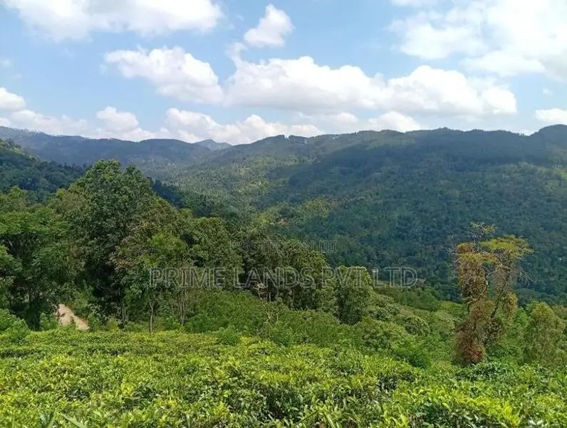Beautiful Land in Nilamba