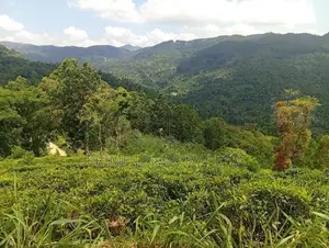 Beautiful Land in Nilamba