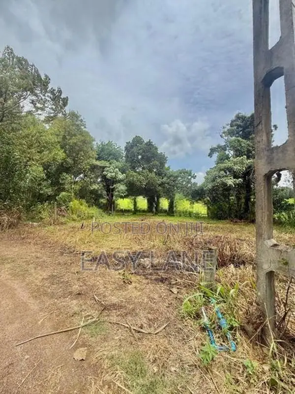 🏝️🗺️අතුරුගිරියෙන් සුන්දර වෙල්යායකට මූණල ඉඩමක් විකිණීමට / RU 14550