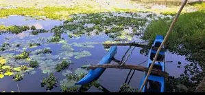 🌊 තංගල්ල සංචාරක පුරවරයෙන් අඩක් නිම කල විලා එකක් / SA 13141
