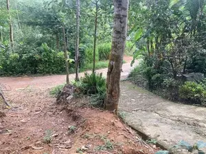 රත්නපුරෙන් පර්චස් 15ක ඉඩමක් විකිණීමට