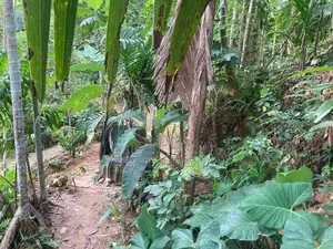 රත්නපුරෙන් පර්චස් 15ක ඉඩමක් විකිණීමට