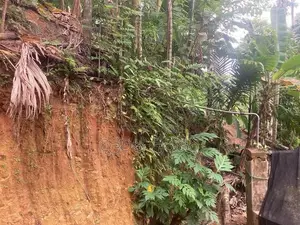 රත්නපුරෙන් පර්චස් 15ක ඉඩමක් විකිණීමට