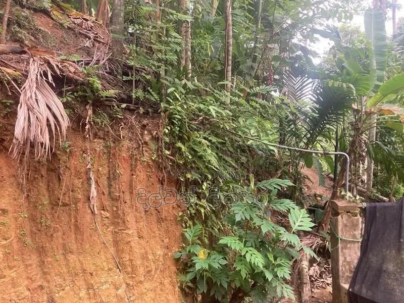 රත්නපුරෙන් පර්චස් 15ක ඉඩමක් විකිණීමට