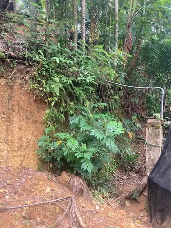 රත්නපුරෙන් පර්චස් 15ක ඉඩමක් විකිණීමට