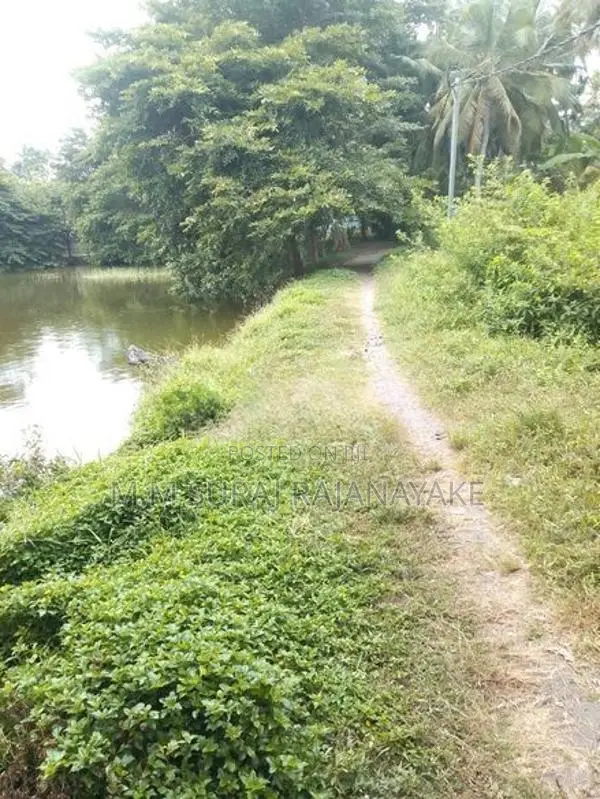 වෙන්නප්පුව ටවුමට නුදුරින් වටිනා ඉඩමක් විකිණීමට ඇත