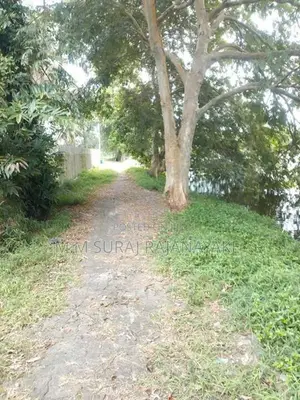 වෙන්නප්පුව ටවුමට නුදුරින් වටිනා ඉඩමක් විකිණීමට ඇත