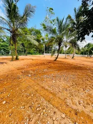 Valuable Land for Sale in Midigama