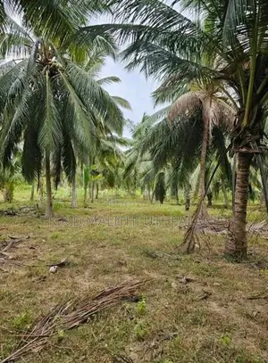 40 Perch Land For Sale Abilipitiya