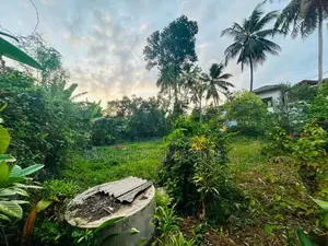Kelaniya Excellent Residential Land for Sale