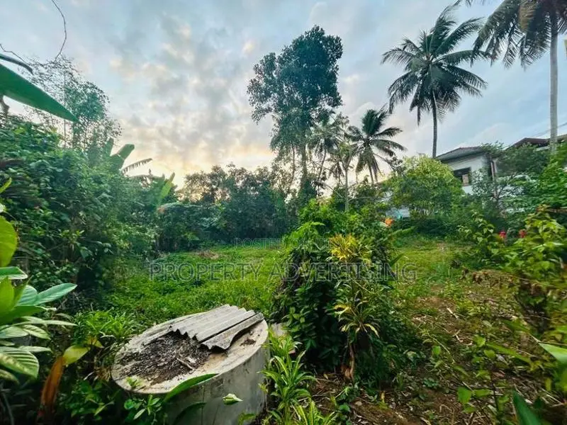 Kelaniya Excellent Residential Land for Sale