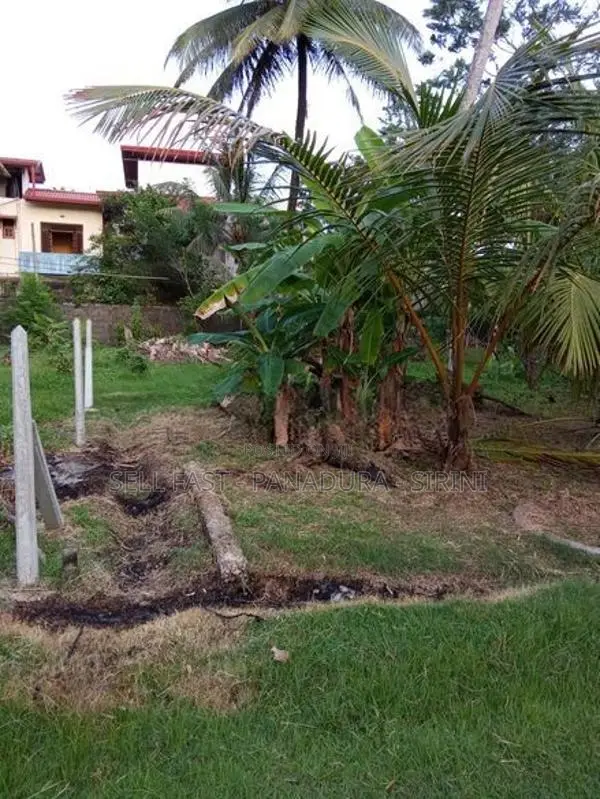 Land for Sale within Panadura UC limit