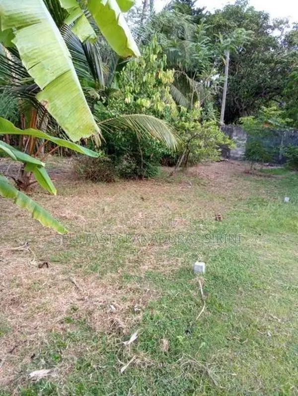 Land for Sale within Panadura UC limit
