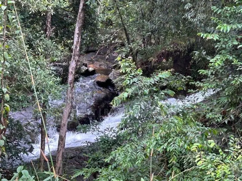 Wana Diya Villa - Kukulegama