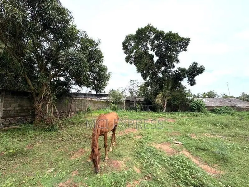 Land For Sale in Wennappuwa
