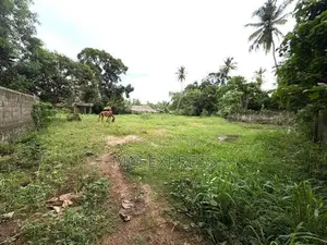 Land For Sale in Wennappuwa