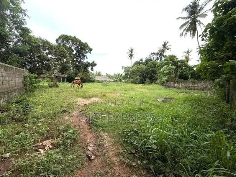 Land For Sale in Wennappuwa