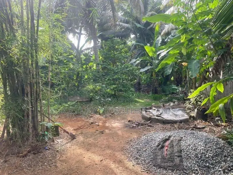 14Perch Land For Sale Walgama Mathara