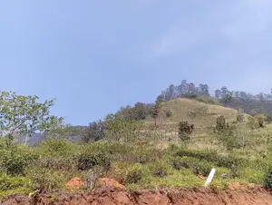 Valuable land for sale pundaluoya