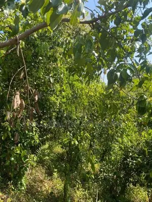 House For Sale Hakmana