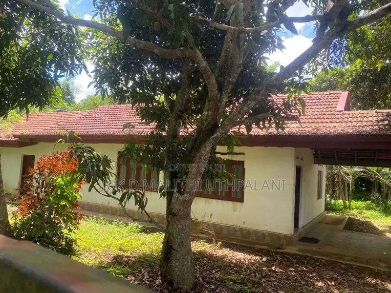 House For Sale Hakmana