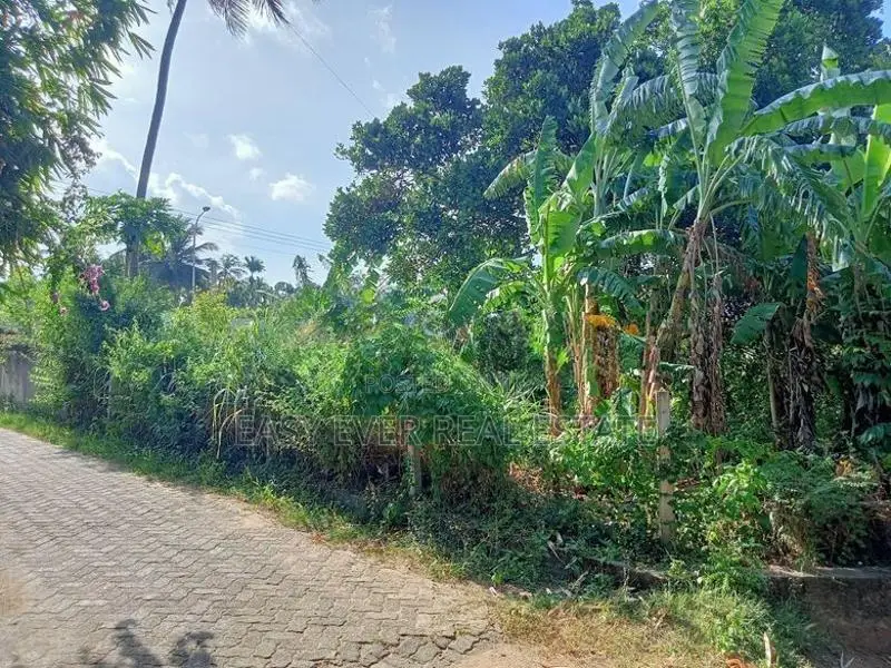 🚚 ප්‍රධාන පාර පේන දුරින් වටිනා ඉඩමක් බෙලිඅත්ත නගරයෙන් / KK 16060