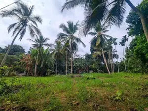 වේයන්ගොඩ කීනවල දුම්රිය ස්ථානයට ලගින් පර්චස් 40 ක බිම් කොටසක් / SA 1579