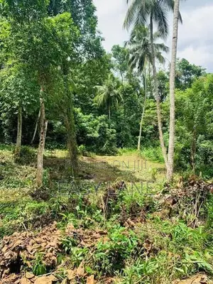 🌿 කිරිඳිවැලින් අගනා ඉඩමක් විකිණීමට / YS 15800