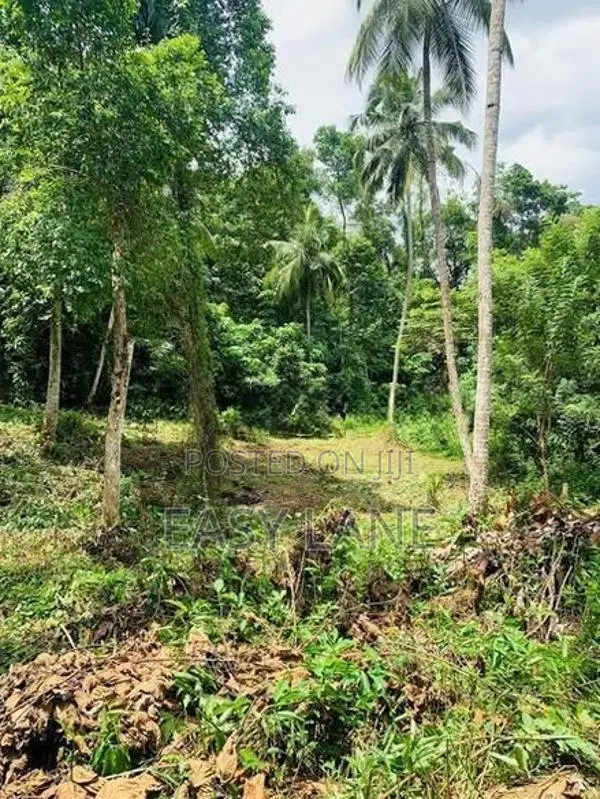 🌿 කිරිඳිවැලින් අගනා ඉඩමක් විකිණීමට / YS 15800