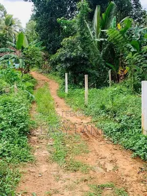 🌿 කිරිඳිවැලින් අගනා ඉඩමක් විකිණීමට / YS 15800