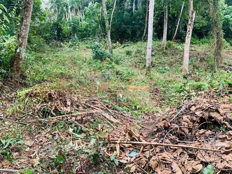 🌿 කිරිඳිවැලින් අගනා ඉඩමක් විකිණීමට / YS 15800