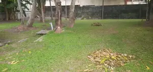 40 perches rectangle land for sale in Mount Lavinia, Templers road